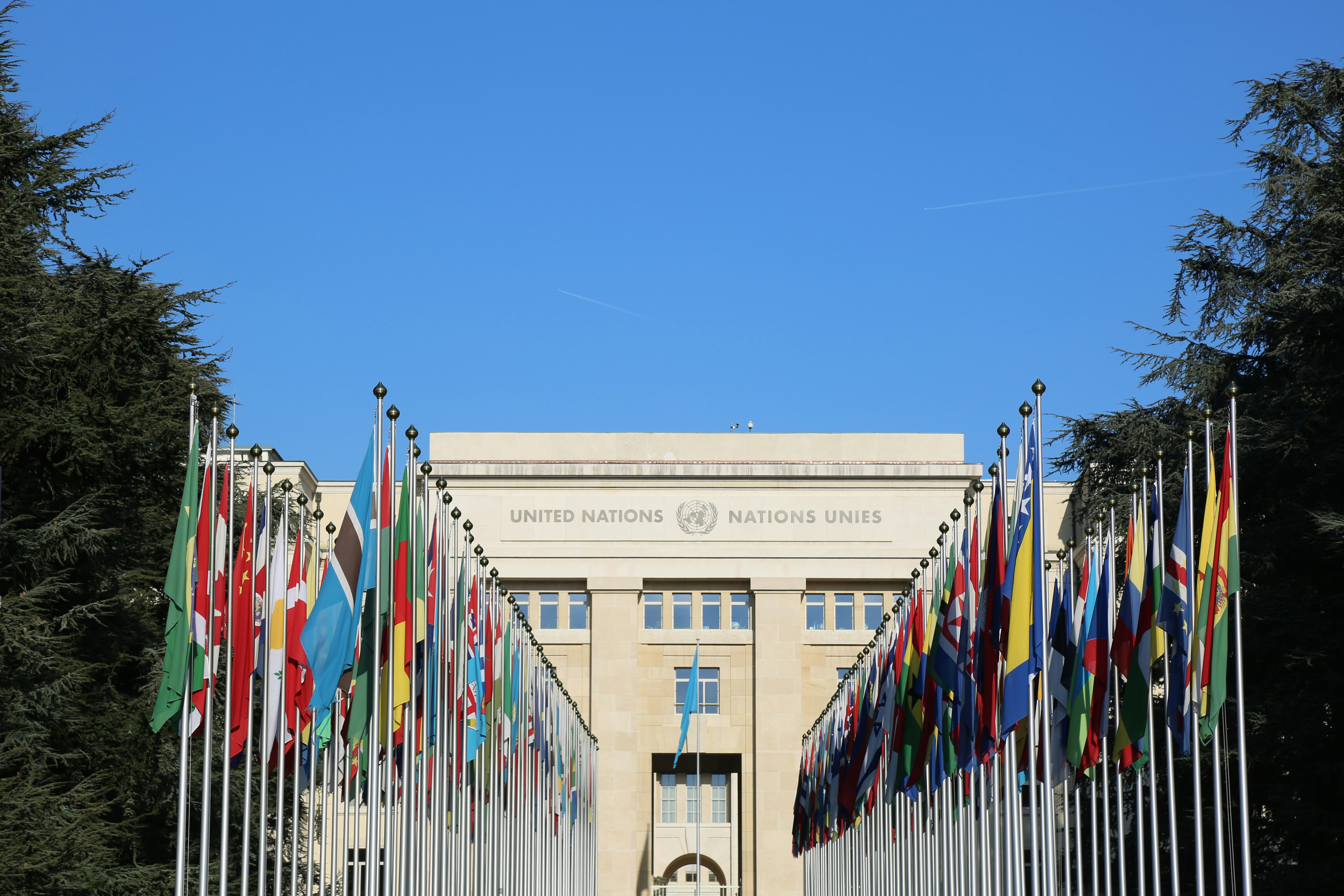 Rows of member-state flags before the United Nations Palais des Nations in Geneva
